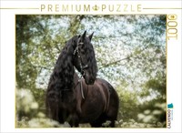 Calvendo Puzzle Frisian | 1000 Pieces, Finished Size 25.2 × 18.9 In (64 × 48 Cm)