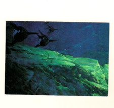 27. Orcas and Icefish William Stout 2 Collector Cards By Comics Image