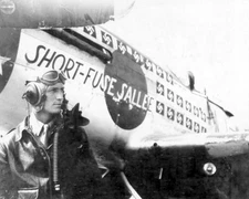 North American P-51 Mustang World War II WWII WW2 8x10 Photo 368c