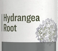 HYDRANGEA ROOT - Normal Urinary Tract & Hay Fever Support Tonic USA