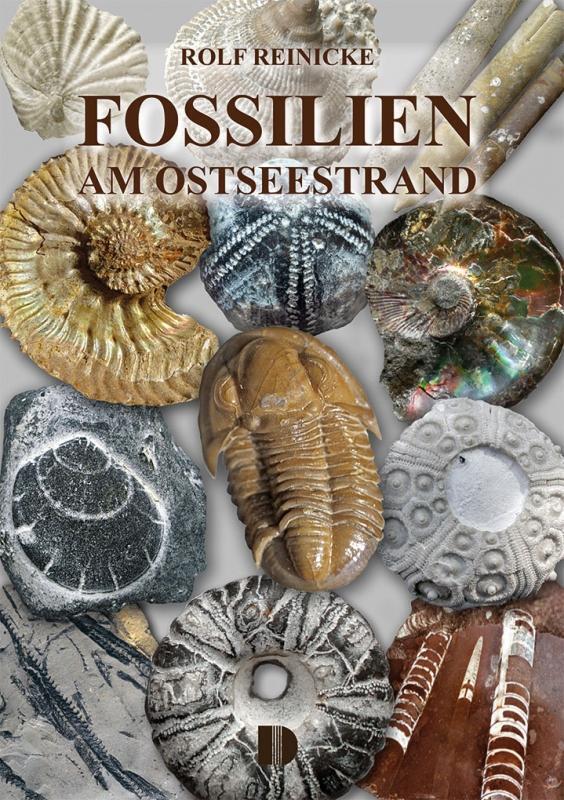 Thumbnail - Fossilien Am Ostseestrand Rolf Reinicke Taschenbuch 80 S. Deutsch 2020