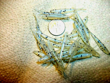200-1 1/2"-CRAPPIE-PANFISH-SOFT FISHING MINNOW GRUB-JIG-split tails-flukes-scent