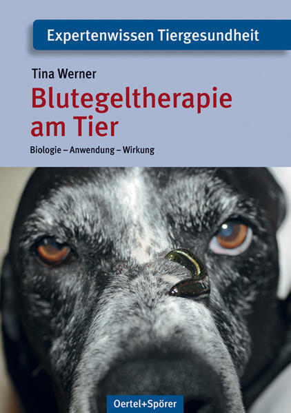 Thumbnail - Blutegeltherapie Am Tier | Tina Werner | 2011 | Deutsch