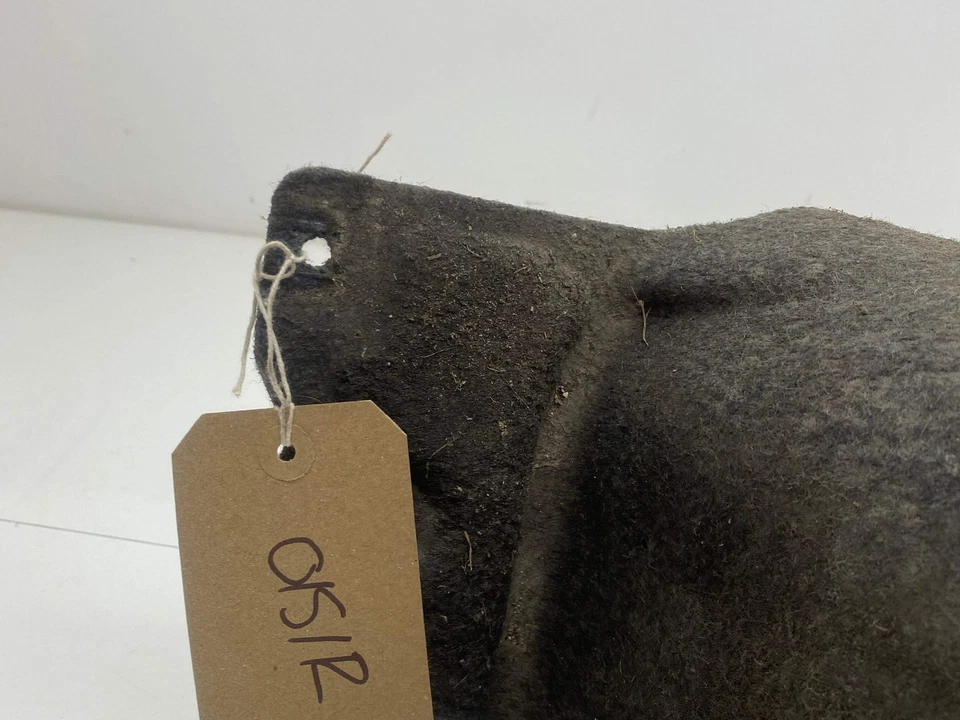 Protector contra salpicaduras trasero derecho revestimiento arco Volkswagen Golf R VW 2019 MK7.5 Foto 2 de 4