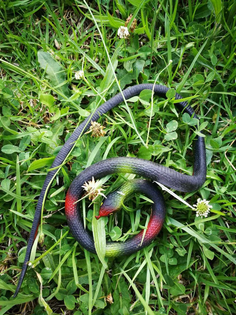 70 cm Rubber Snakes Realistic Trick Toy Small Snakes Simulation Snake Whimsy