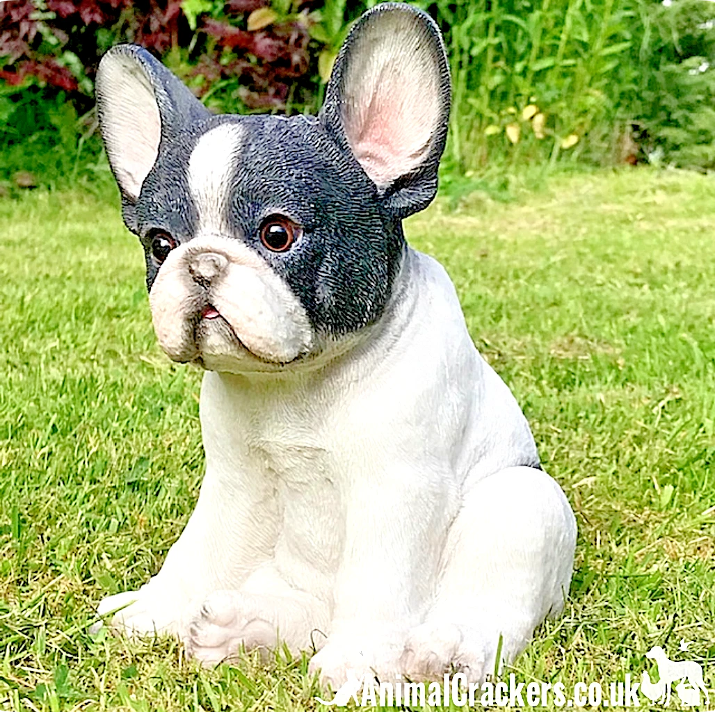 Black White sitting French Bulldog Puppy ornament figurine Frenchie lover gift