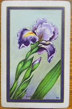 "PURPLE IRIS"-USPC Copyright Antique VTG USNN Narrow Named Swap Playing Card