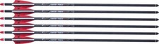Tenpoint Centerpunch HPX 20 Arrow, Alpha Nock...