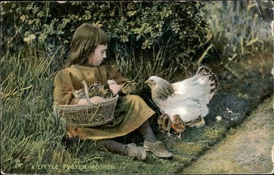 Little Girl w/ Chickens Foster Mother Tuck Animal Studies c1910 Vintage Postcard