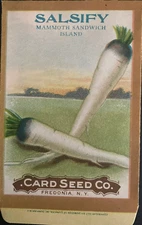 1908 Salsify Mammoth Sandwich Island Seed Packet - Card Seed Co. Fredonia, N.Y.