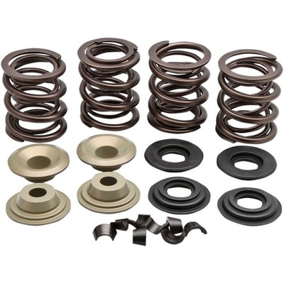 KPMI Valve Spring Kit 20-21150