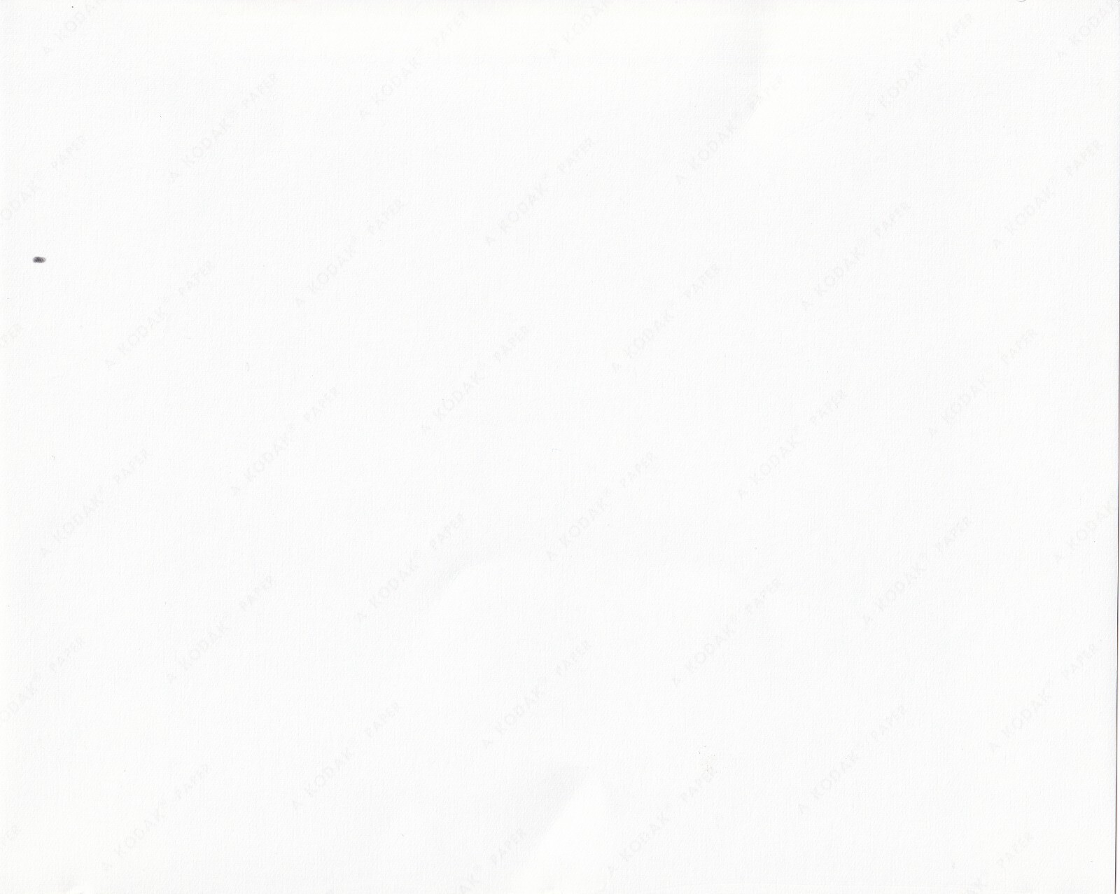 Foto 3 di 6