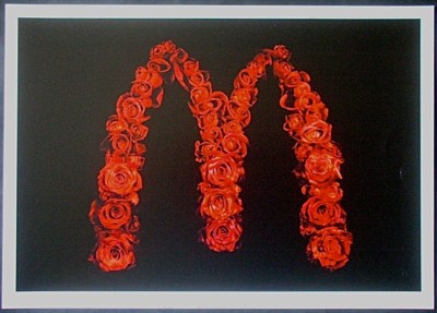 Alexander James Hamilton, Original Fotografie 2009, signiert, 2/10, Rosen