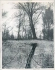1957 West Epping NH a Gnarled Tree Mirrored in the Lamprey River Press Photo
