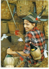 CARTOLINA MILITARE ,CAPELLO DEGLI ALPINI - PICOZZA E FIASCO DI VINO  - ANNI '70