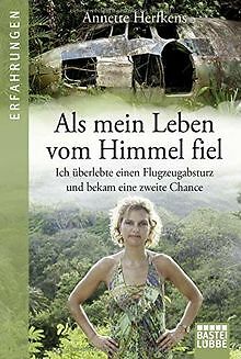 Als mein Leben vom Himmel fiel: Ich überlebte ein ...