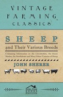 John Sherer | Sheep And Their Various Breeds - Containing Information On The...