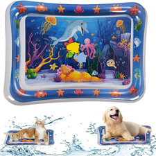Upgraded Interactive Cat Water Play Mat with Fish for Indoor Exercise