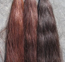 Tail Extension 1lb Your Choice Color by KATHYS TAILS FREE Bag AQHA NSBA FEI