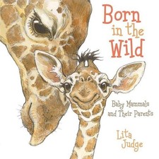 Lita Judge Born in the Wild (Board Book) In the Wild