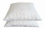 Indexbild 7 - Antibakteriell Bettdecke Decke oder Kopfkissen Kissen mit Hohenstein Zerifikat