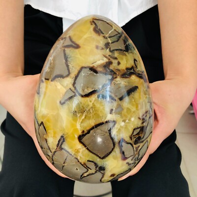 8.69LB Natural Septarian Dragon Stone Crystal Egg Quartz Healing Decoration