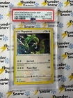 Rayquaza Holo Sea & Sky Premium Collection #029 2024 Pokemon PSA 8 142774392