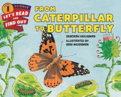 From Caterpillar to Butterfly (Let's-Read-and-Find-Out Science 1) - GOOD