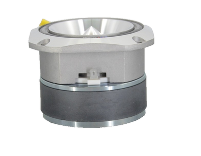 RD Audio TW-1029S-PRO – 10th Anniversary Super Tweeter, 600W Max