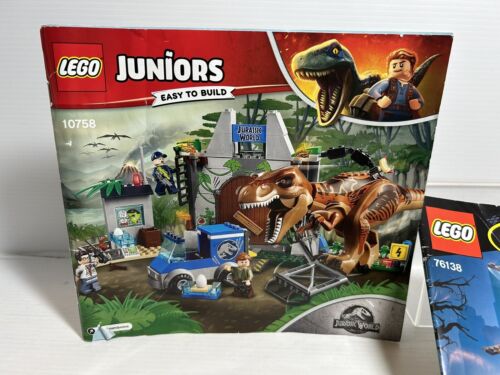 LEGO DC 76138 Batman Arkham Asylum e Jurassic 10758 Pannello Porta + Istruzioni - Foto 7 di 9
