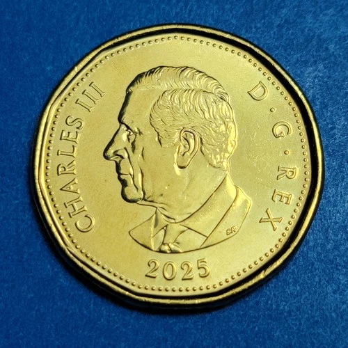 Photo of a 2025 Canada Loonie from an eBay listing that sold on Jul 12, 2026