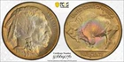 1913 D Type two 2 Buffalo Nickel PCGS MS65+ "PLUS" Rare key date! $1850 PCGS