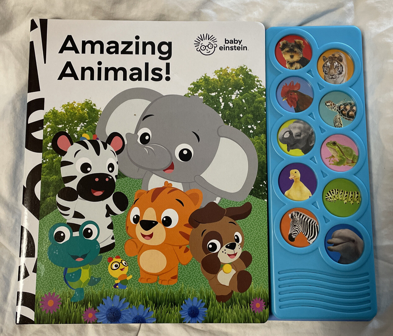 Baby Einstein Amazing Animals 10Button Sound Book PI Kids [PlayA