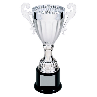 Silver or Gold Completed Metal Cup Trophy  5 Sizes With Handles up to 14 3/4 ''