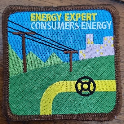 Girlscouts Daisy Energy Expert Badge Iron On