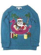 Girls Blue Sparkle Pink Flamingo Santa Christmas Holiday Sweatshirt XS 4-5