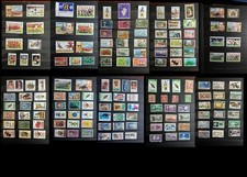 Haiti St Vincent Saint Lucia Barbados Jamaica Bahamas Montserrat Bermuda  Ex. US