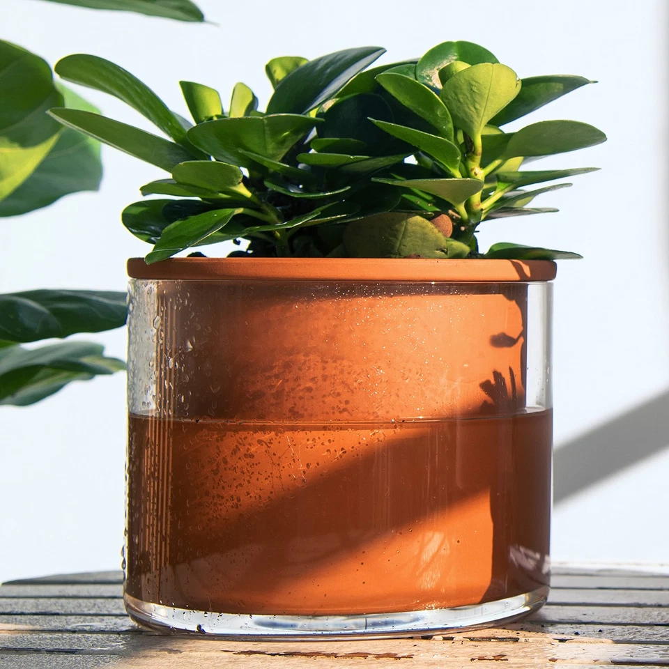 Maceta para plantas de riego automático de 6 pulgadas, maceta de terracota de diseño para plantas, cilindro interior... Foto 2 de 4