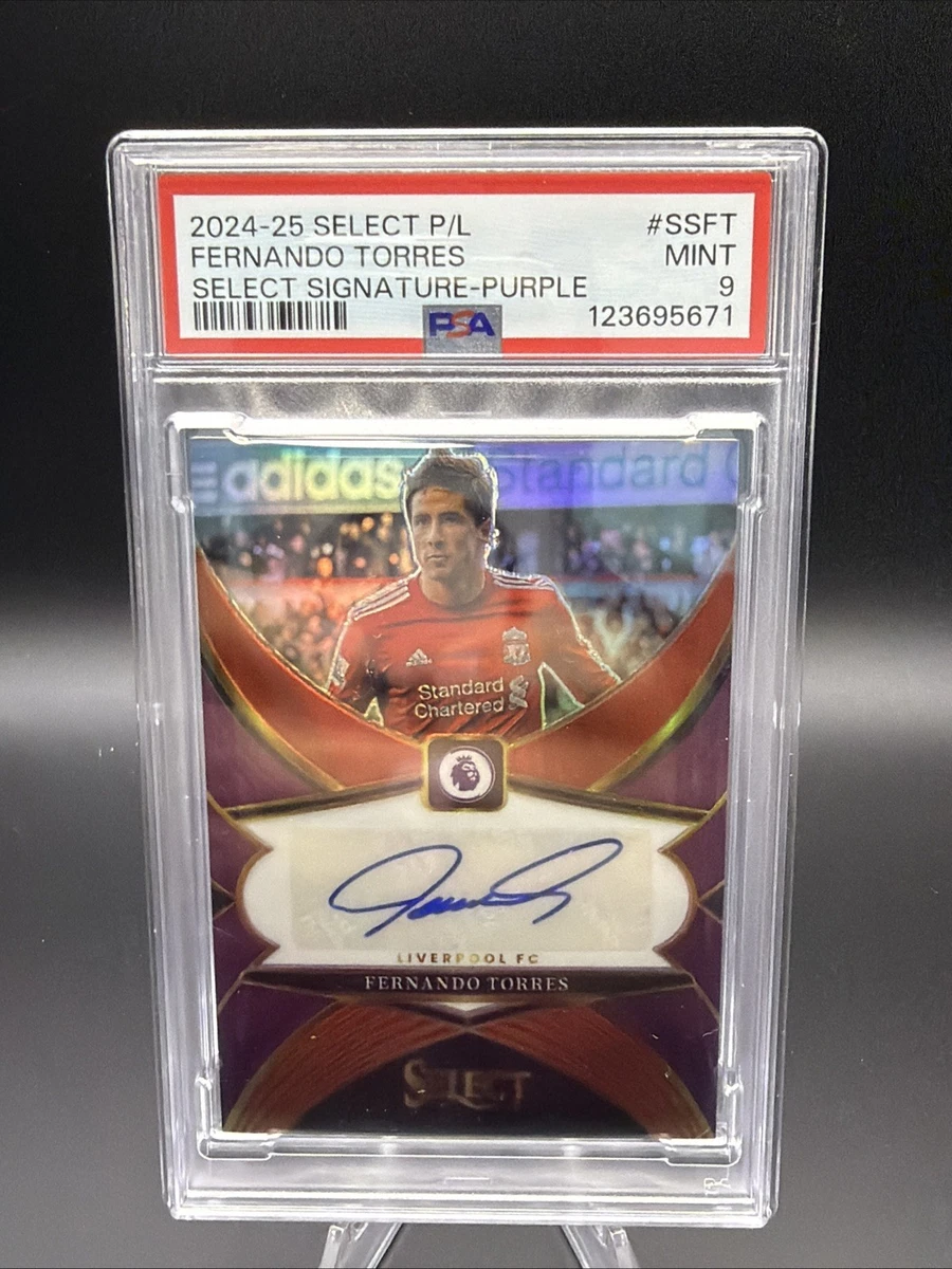 fernando torres | eBay