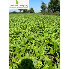 Fall Food Plot Mix, Food Plot Seed, 1/2 Acre, Mix of Clovers, Brassicas, Peas