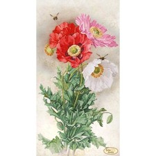 Bead Embroidery Kit Poppies DIY Bead needlepoint Tela Artis