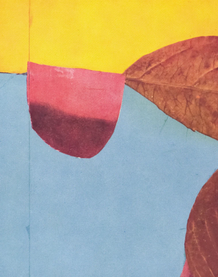 Josef Albers - "La interacción del color" XXV-2 derecha (hojas abstractas de otoño) Foto 2 de 4