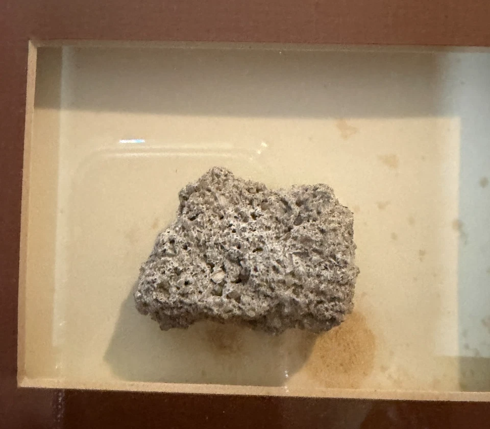 Berlin Wall Fragment AUTHENTIC Shadow Box Display 1961-1989 - Image 2 of 4