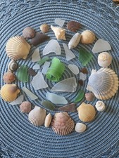Genuine Surf-tumbled Sea Glass and Sea Shells Beautiful OBX Beach Lot    