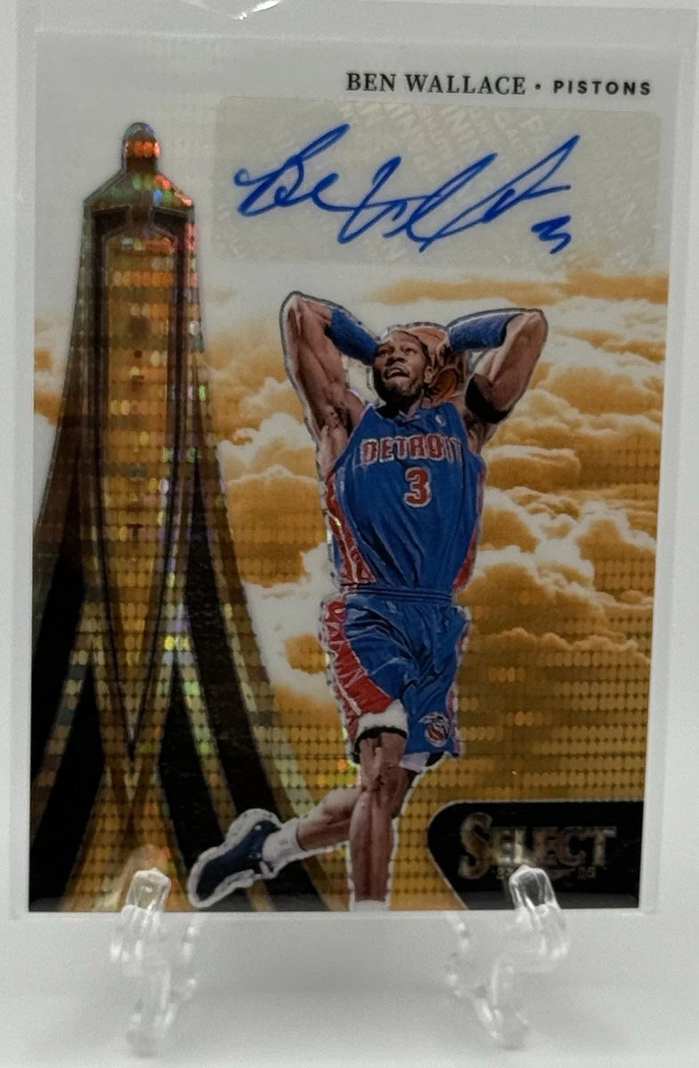 National Basketball Association (NBA) Ben Wallace Basketball