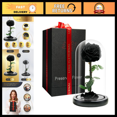 Eternal Preserved Rose in Glass Dome - Beauty & The Beast Style - Black 9'' Gift