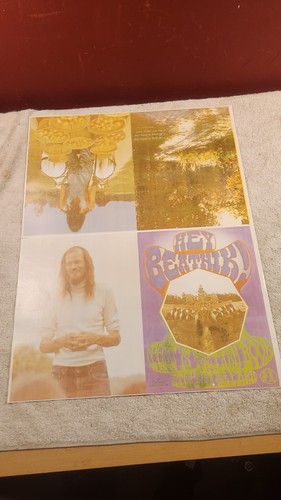 Hey beatnik! stephen and the farm poster