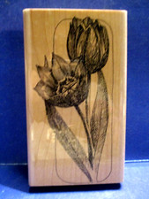 BOTANICAL TULIP IMPRESSION OBSESSION RUBBER STAMP WOOD MOUNTED