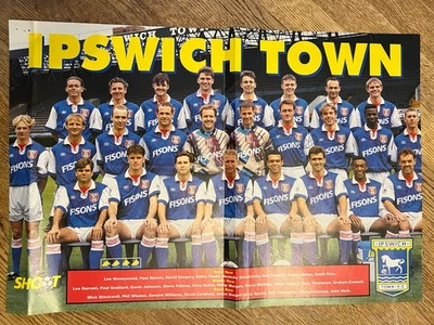 Hand Signed A3 Picture - Ipswich Town FC 1993/94 season - 15 signatures - Image 1 of 4