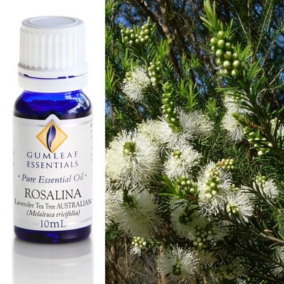 Gumleaf Essentials - Rosalina - Essential Oil - 10 mL